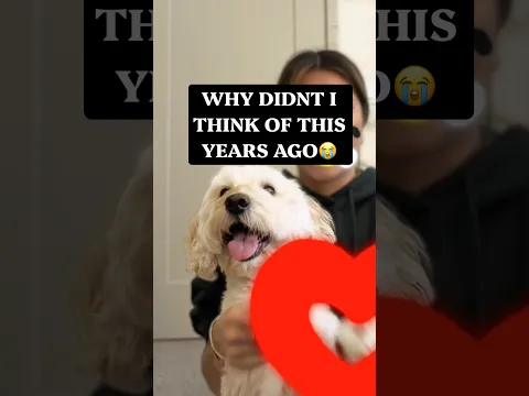 she isn’t the cause of your death. u can’t prove it #dogdance #goldendoodle #rotoscope #aftereffects