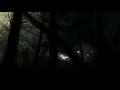 killedmyself - still numb