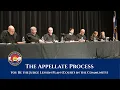 The Appellate Process