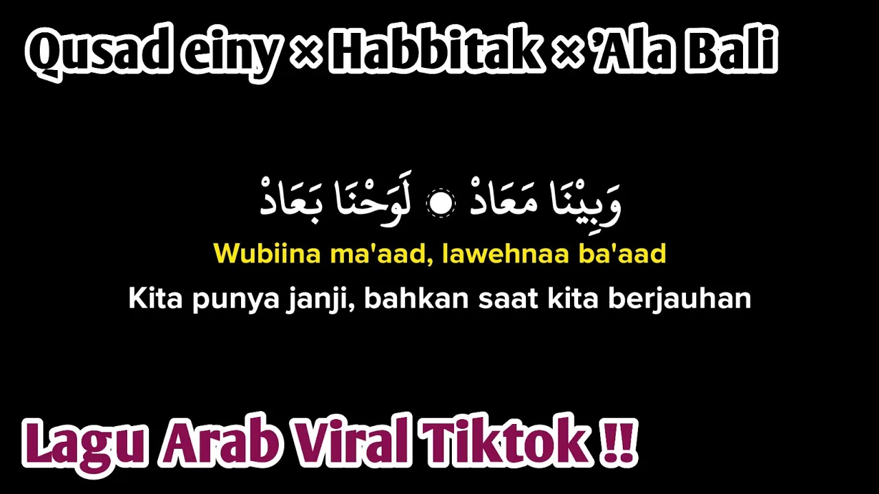 Qusad einy (wabina maad) x habbitak x ala bali (lirik arab, latin dan Terjemahan) Viral Tiktok