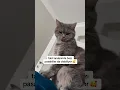 Download Lagu Bazen sahibine bile aşağılayıcı ve alaycı gözlerle bakan bu dürrükler 😅￼
