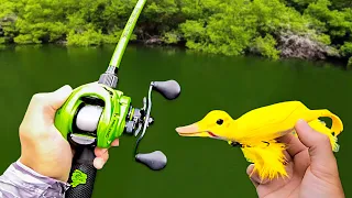Fishing for 15lb Bass w/ TOPWATER Lures!