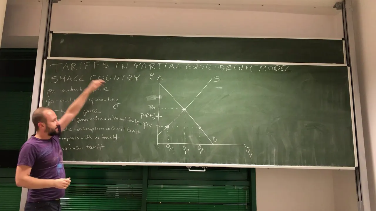 29. IEF: Tariff in partial equilibrium