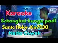 Setangkai Bunga Padi - Santa Hoky   DutBand [Karaoke] Kn7000 - Nada Wanita | Ajrin Musik