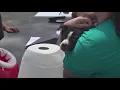 San Antonio needs your help to control roaming dogs