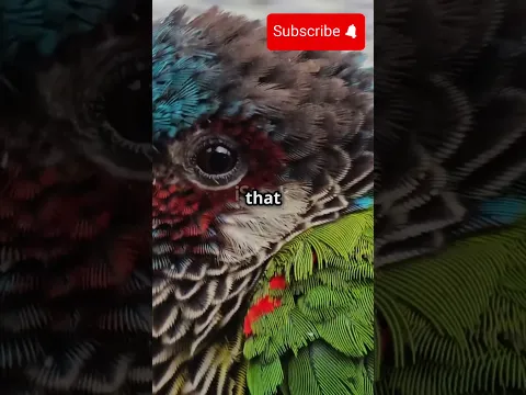 Adorable bird feasting in the forest #nature #animalheavenvideo #animals #wildlife #watch #forest