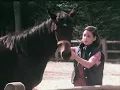 Michael Jackson,PaulMCcartney-The Girl is mine(Fan video)