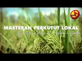 Masteran Perkutut Lokal Di iringi Suling dan Kecapi Sunda, Mendengarnya Terbawa Ilusi Masa Lalu.
