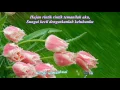 Download Lagu San Yue Li De Xiao Yu  Gerimis Dibulan Maret