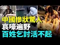 Download Lagu China’s Economic Collapse: People Begging on Roads, Despair Everywhere#看大陸