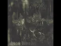 Emperor - Ensorcelled By Chaos