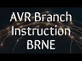 AVR Branch Instructions - BRNE