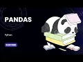 PANDAS Full Course with Practical 2025 Learn Python Pandas