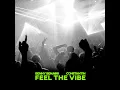 Feel The Vibe - Benny Benassi & Constantin