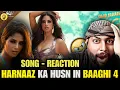 Download Lagu Baaghi 4: Yeh Mera Husn (Song) Tiger S, Sanjay D, Harnaaz S | Shilpa R, Tanishk B | REACTION BY RG