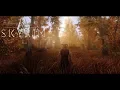 Skyrim SE Ultra Modded Best Graphics Mod List