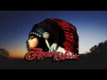 Download Lagu HEINUI \u0026 AMANDA x Destroke \u0026 M.D.C - Honoipo [Tropical House Remix 2016]