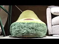 BRENTWOOD AVOCADO FOAM LOUNGE CHAIR Shop with us at Costco