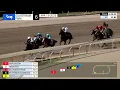 Gulfstream Park April 13 2025 Race 6