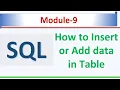 How to Insert data in Table Microsoft SQL Server 2022 SQL Module 9