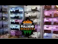 Easy Monotub Setup with Modifications - Start-to-Finish Mushroom Growing Tutorial