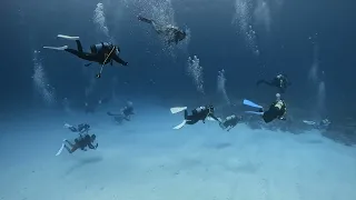                                      دندنها