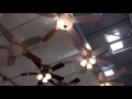 2016 ceiling fans at lowes