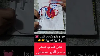نموذج رائع لمكونات القلب و الدورة الدموية ٢ث عمل طلاب مستر حسام الدين مصطفى  نموذج رائع لمكونات القلب و الدورة الدموية ٢ث عمل طلاب مستر حسام الدين مصطفى