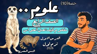 الدرس الاول علوم الصف الرابع الابتدائي مفهوم كيف تعمل الحواس رابعة ابتدائي مستر محمد ابراهيم 2026 