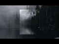 akiaura, lonown, stm - sleepwalker (slowed & echo)
