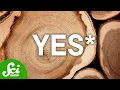 Download Lagu Can You Melt Wood?