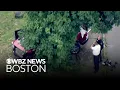 17-year-old driver in stolen car killed in Massachusetts crash