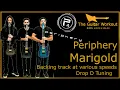 Download Lagu The Guitar Workout - Periphery - Marigold (Drop D Tuning)