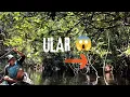 Download Lagu HAMPIR SAJA TERPEGANG ULAR ..😰.. BERHATI - HATILAH SAAT DI HUTAN BELANTARA .. 😱😰 ..