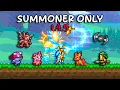 Can You Beat Terraria 1 4 5 as the NEW Summoner Class
