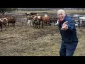 The incredible Dr Pol Cancelled After 13 Years - What s Future Planes for the Team