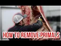 Grassfed Beef Breakdown How to Locate and Remove the Primals