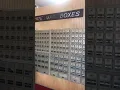 Affordable Private Mailbox Solutions for Startups