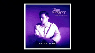 Download Tom Gregory - Footprints (Amice Remix) MP3