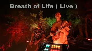 breath of life live outdoor performance sina bathaie