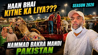 haan bhai kitne ka liya hammad bakra mandi pakistan 2026 videos