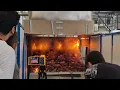 NTUA Simulation of Wildfires 10 2025 Only Fire