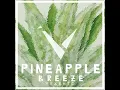 Pineapple Breeze