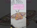 How to Color an Emperor Moth - Full on my channel
