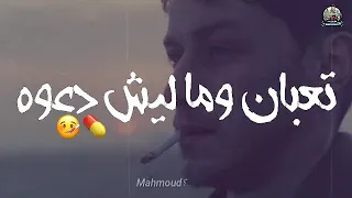 حاله واتس احمد عبده قلبي استوى من مهرجان قلبي استوى 