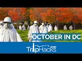 Tips for Visiting Washington DC in October