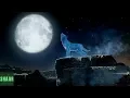 MORTAL KOMBAT 11 - Nightwolf Reveal Trailer NEW Victory Pose