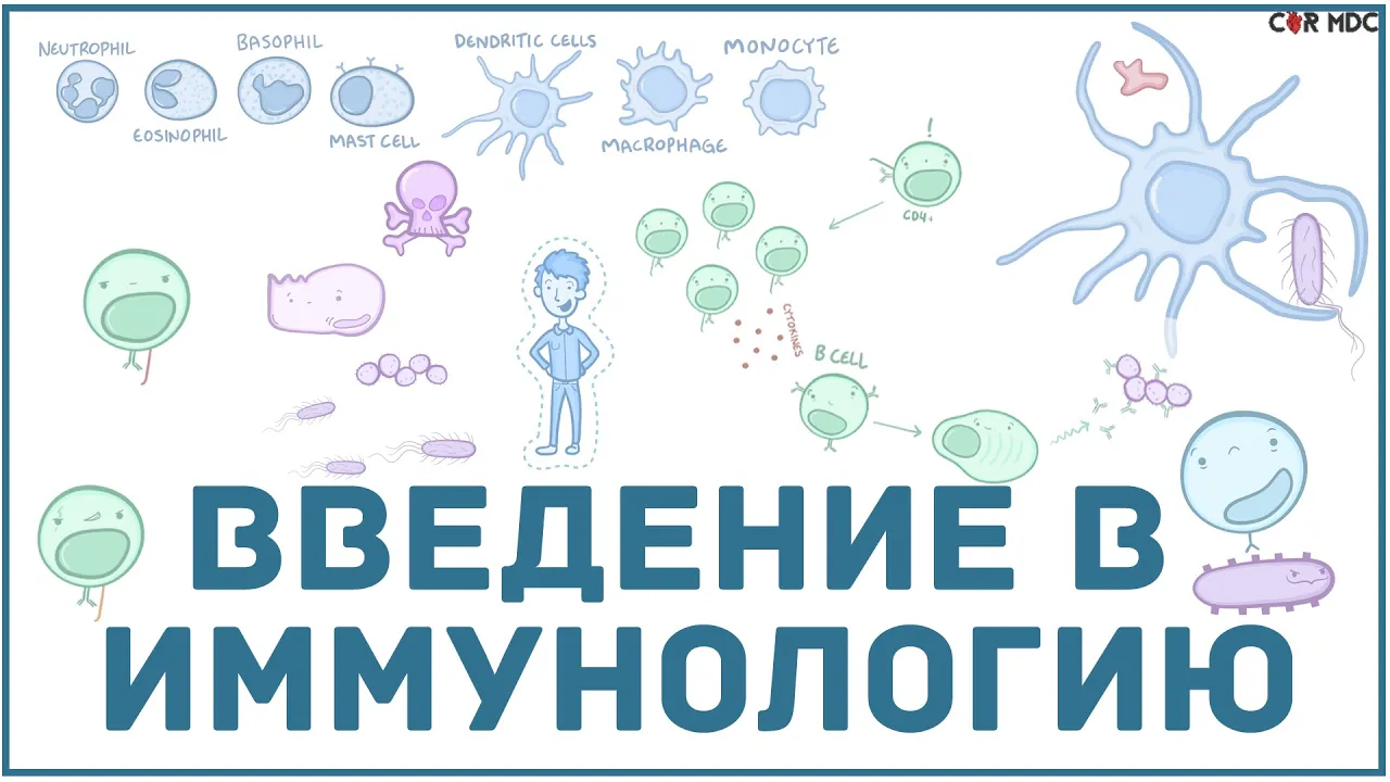 ÐвеЎеМОе в ОЌЌÑМПлПгОÑ