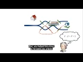 Function Workspaces MATLAB Fundamental Tutorials Beginners