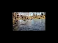ONLINE AUCTION Ending Thursday January 27th at 6PM 104 Acres - with Creek